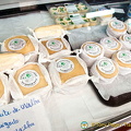 Oporto (711 visits) Oporto